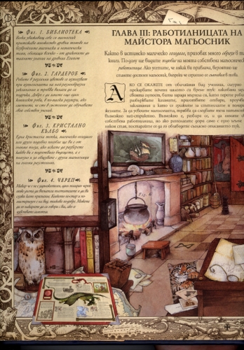 Магология Магология