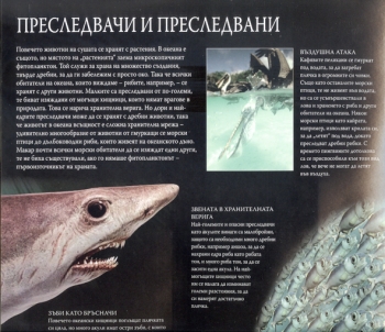 В дълбините на океана В дълбините на океана