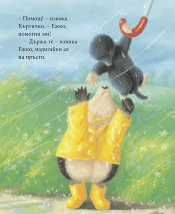 Дъждовен ден Дъждовен ден