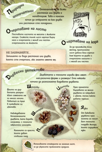 Вълшебна градина Вълшебна градина