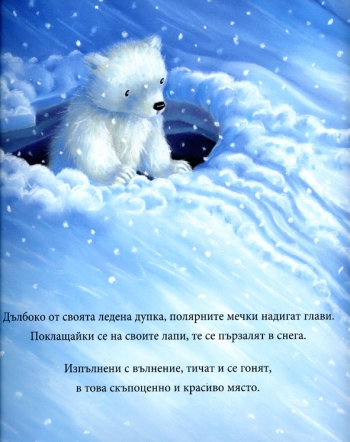 Снежен свят Снежен свят
