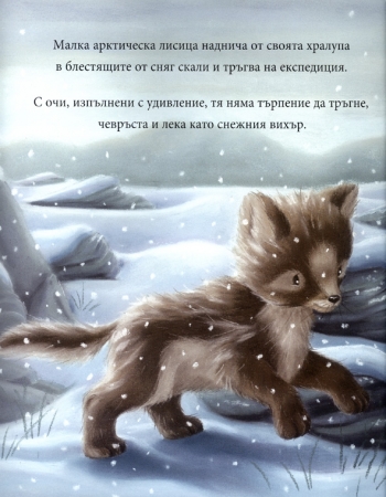 Снежен свят Снежен свят