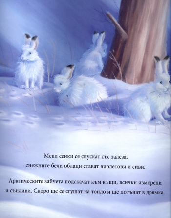 Снежен свят Снежен свят